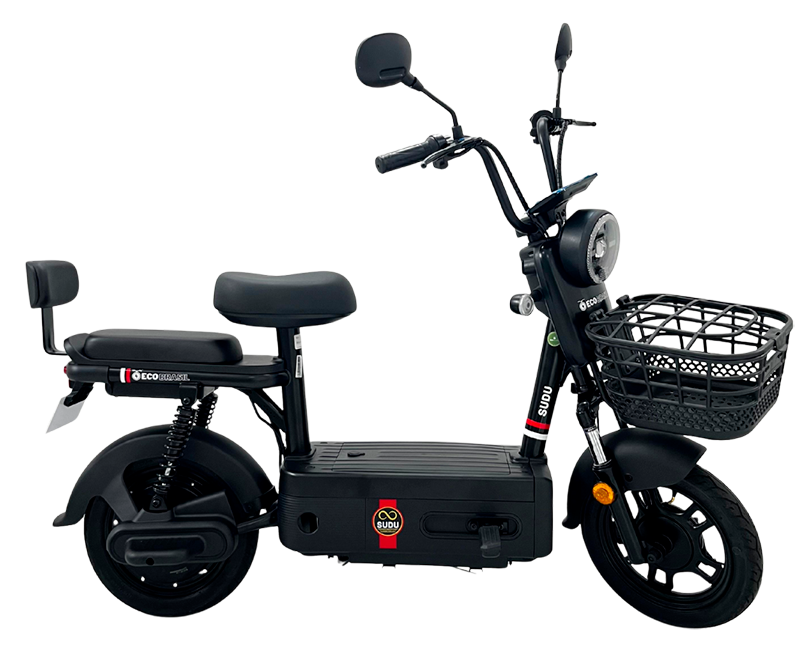 Scooter Eco A+  1000W