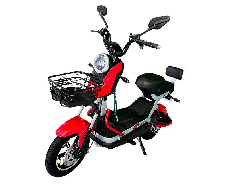 Scooter Pro + 1000W