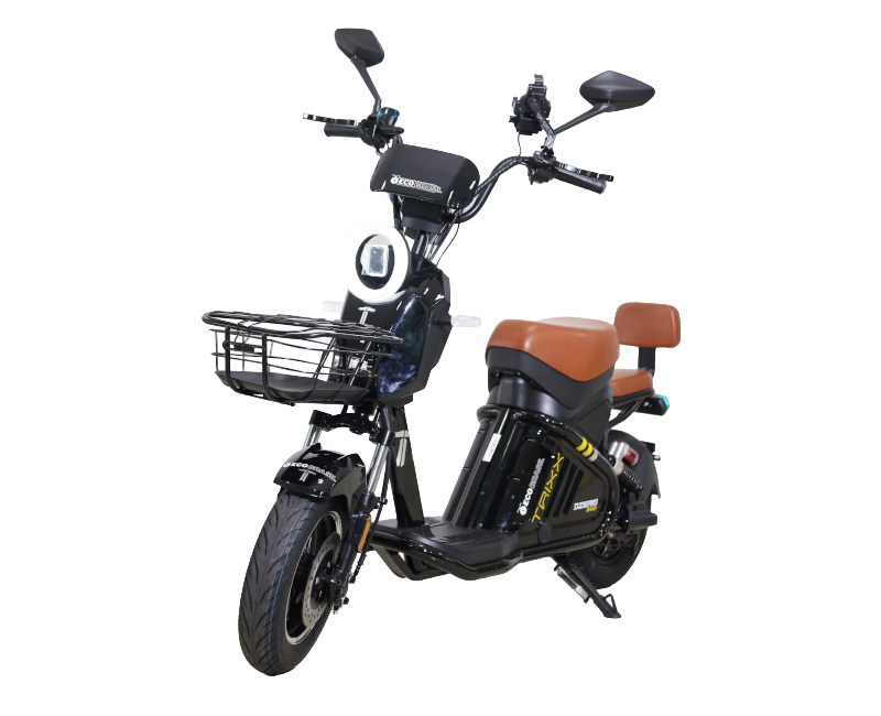 Scooter Eco D-0 1000w