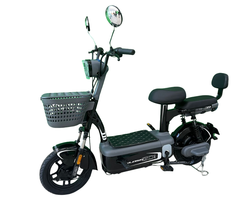 Scooter Eco Go - 500w