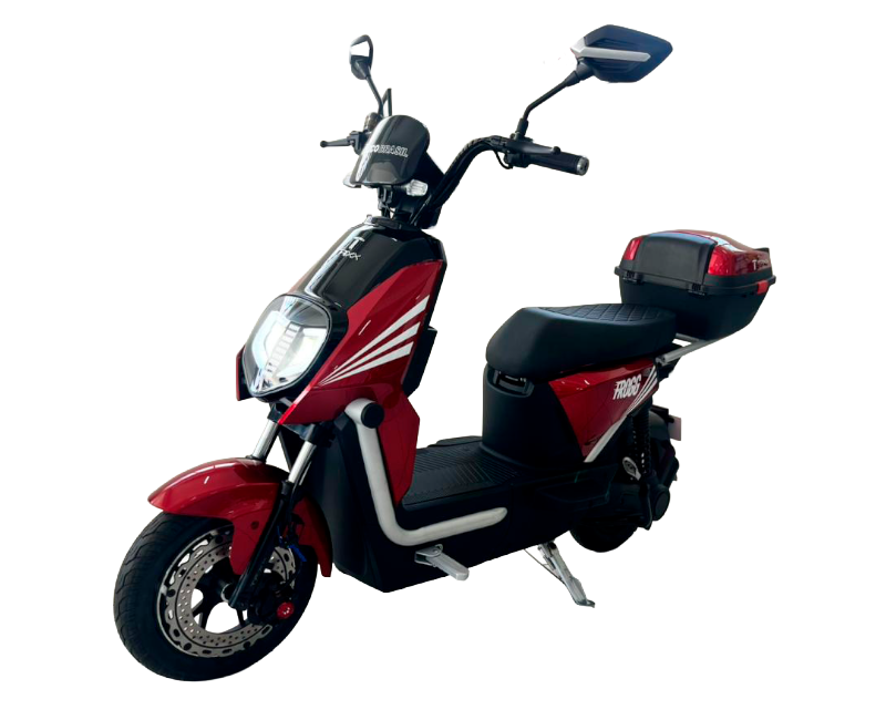 Scooter Eco Frogg - 1000w