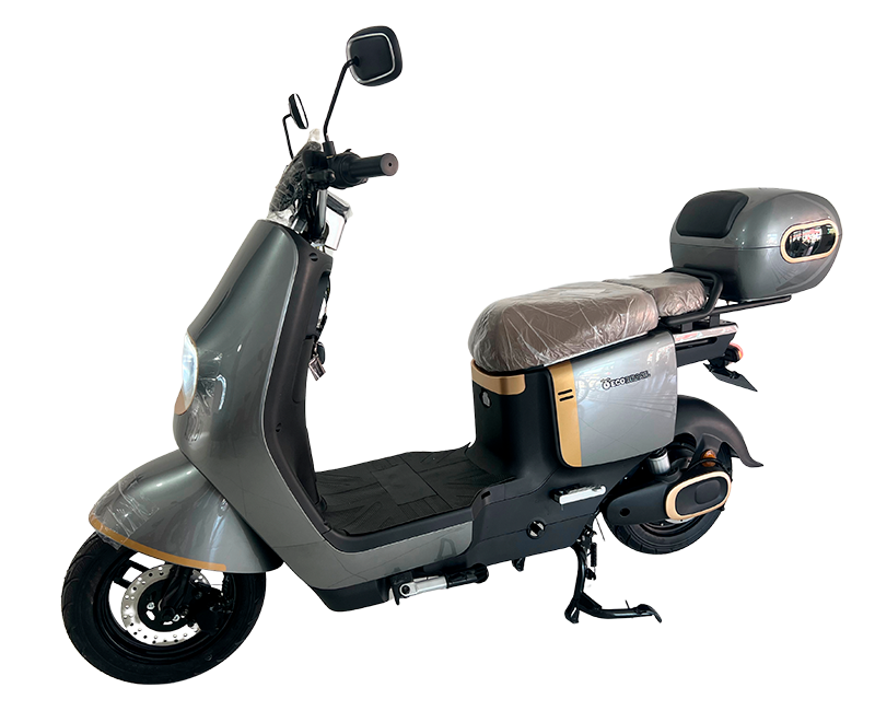 Scooter ECO + 1000w