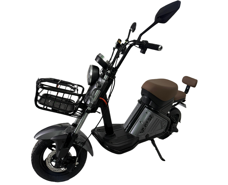 Scooter Eco PH 1000w